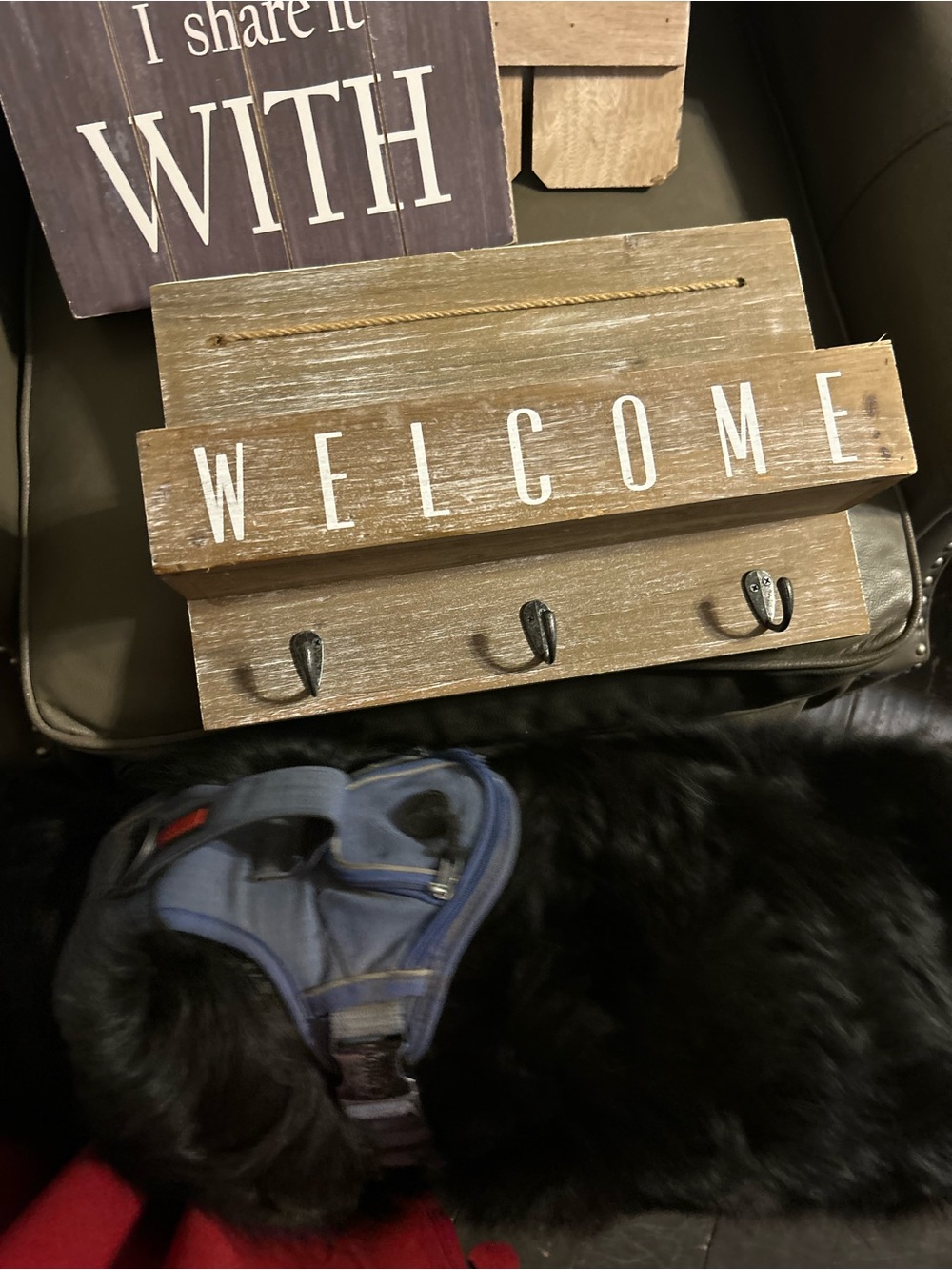 Welcome Wooden Wall Hook Rack in Brown by